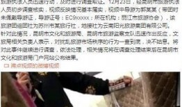 网友爆料云南导游视频大全,揭秘云南旅游背后的真实故事